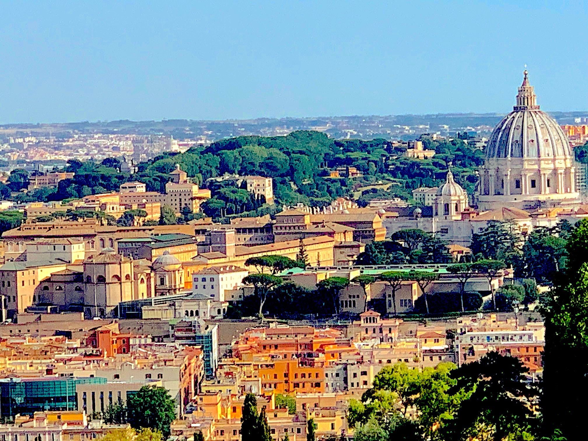 A view of the Vatican from my pool