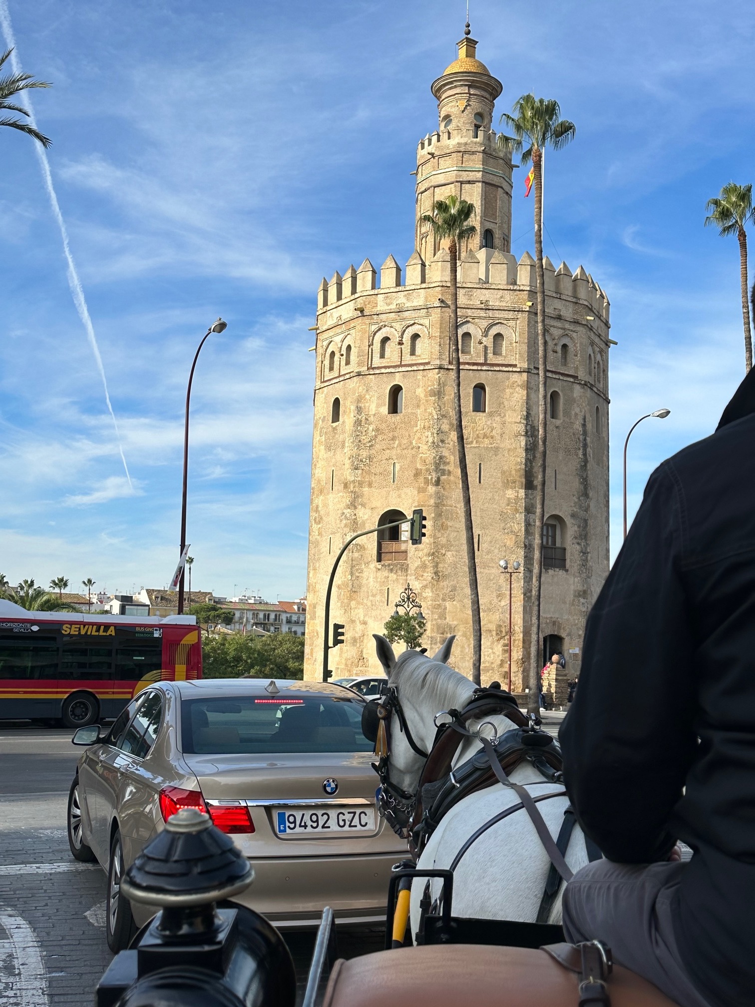 A Ride in Seville