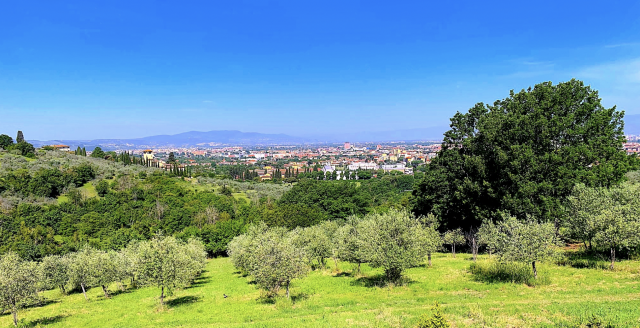 A breakfast view of Florence