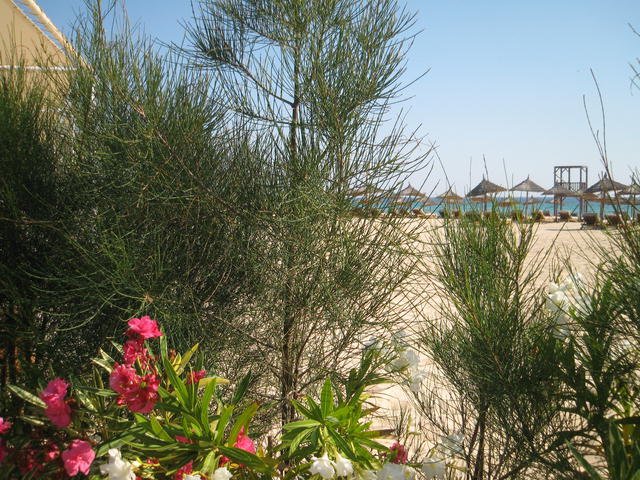 The beach at Sousse