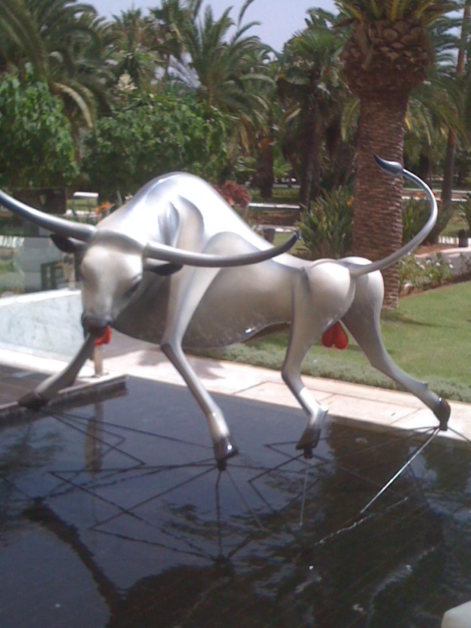 A raging bull in the hotel gardens