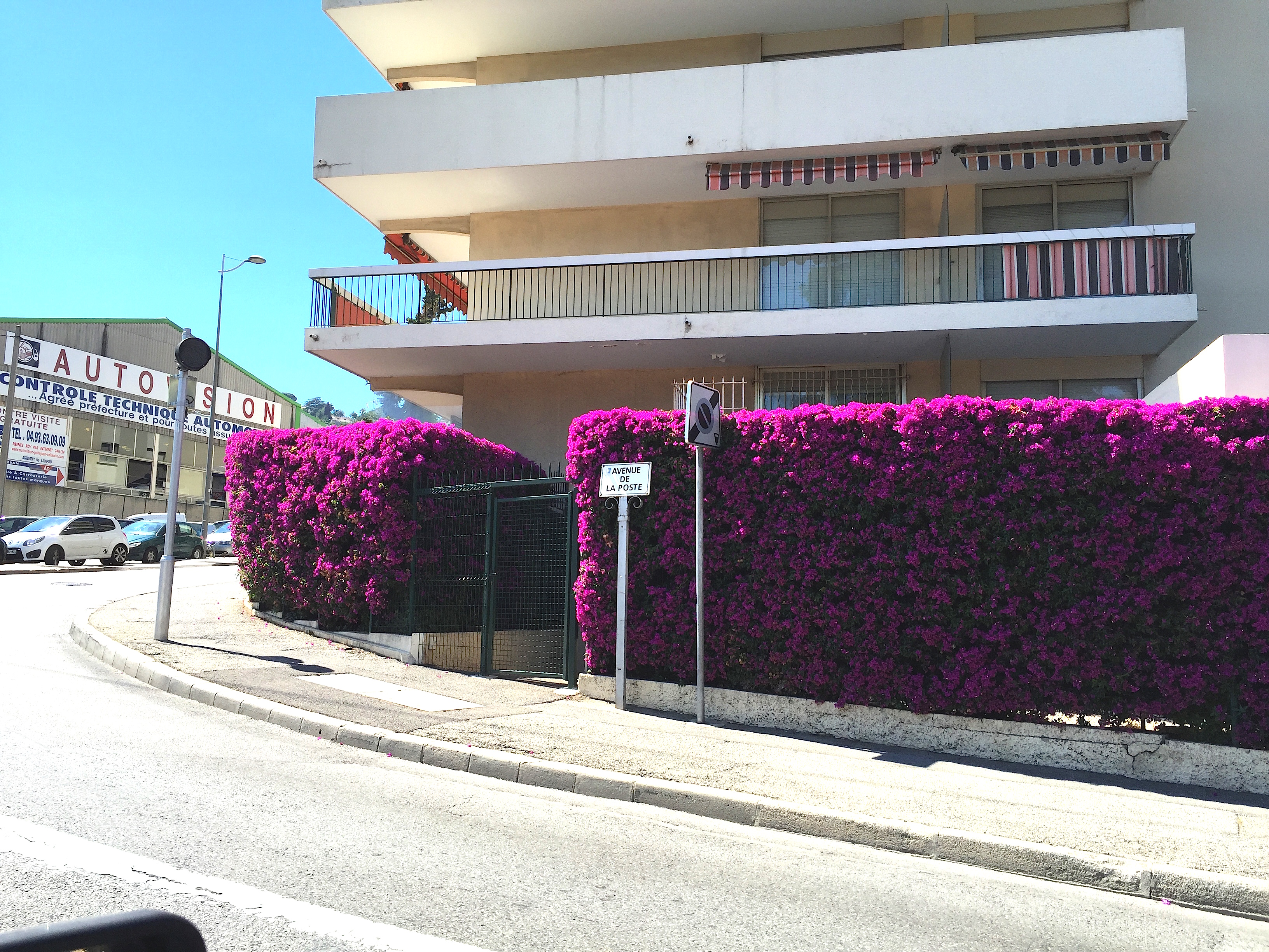 Colours of Cannes