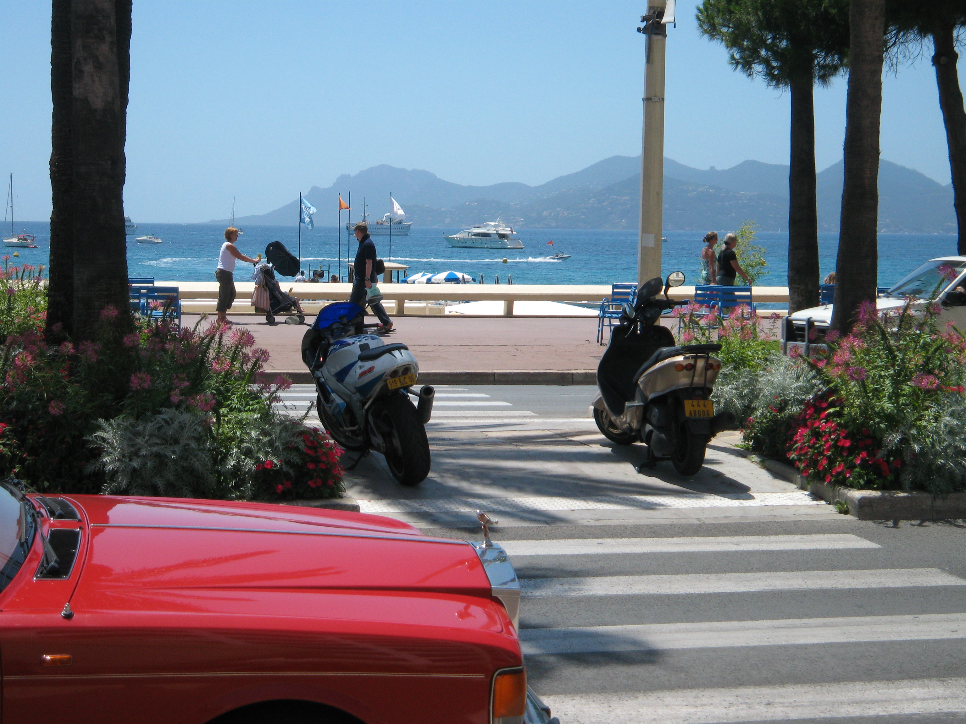 The Bay of Cannes