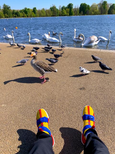 Feeding The Birds