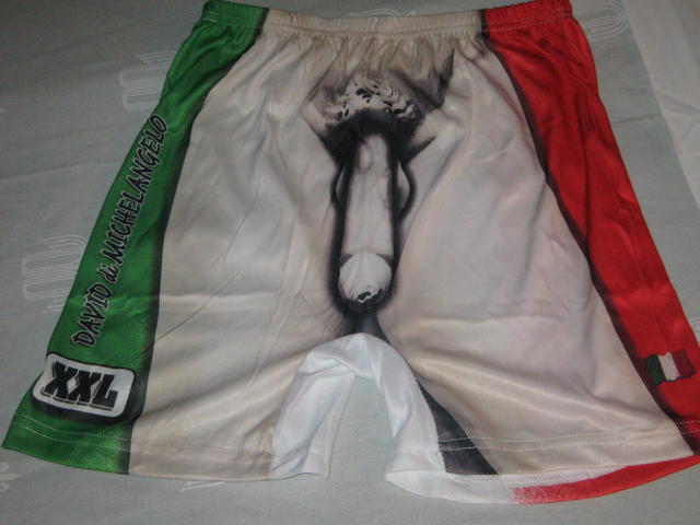 Michelangelo hot sale swim trunks